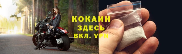 молекула духа Белокуриха