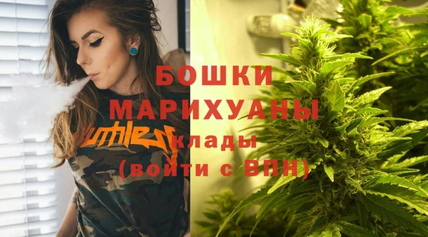 молекула духа Белокуриха