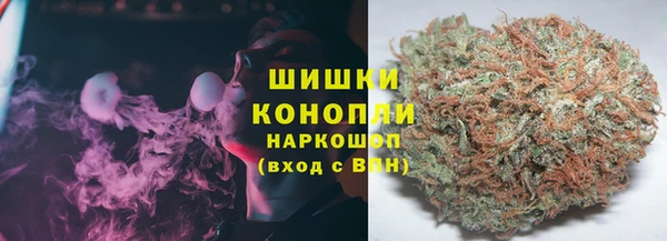 молекула духа Белокуриха